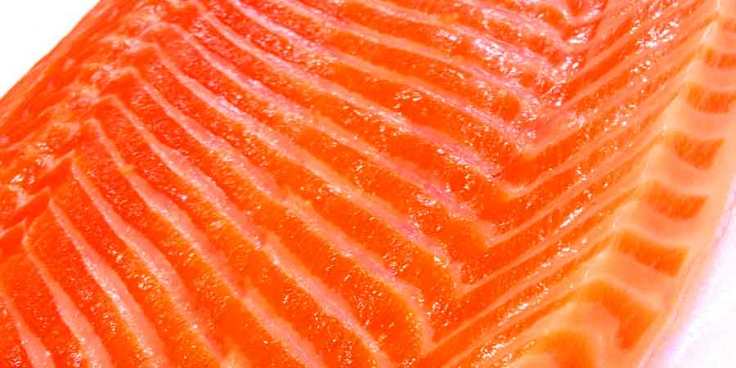 Sushi_japan_cut_nigiri_maki_salmon_